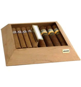 Fack för adorini humidor Pyramid M deluxe bild 7