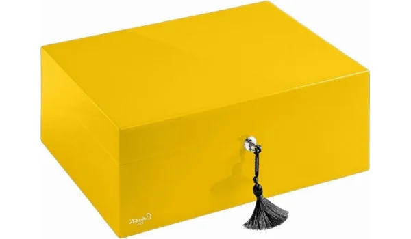 Caseti Humidor Paris gul